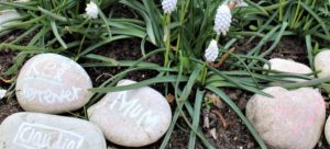 Stones with names on in the garden