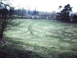 an area of grass with some trees at the edges