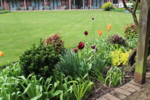 Flowers in the garden