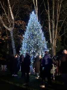 Tree of Light lit up